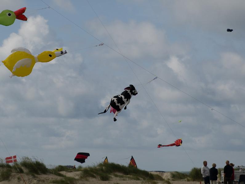 Fanø 2009 23.jpg